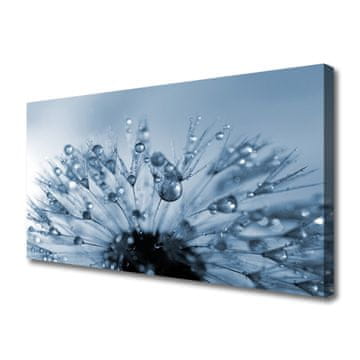 tulup.si Slika na platnu Dandelion flower drops