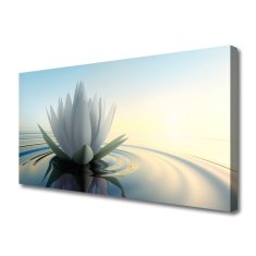 tulup.si Slika na platnu Voda lily pond narava 125x50 cm