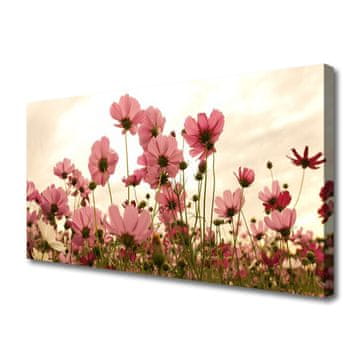 tulup.si Slika na platnu Cvetje wildflowers travnik narava