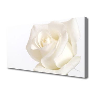 tulup.si Slika na platnu Rose flowers