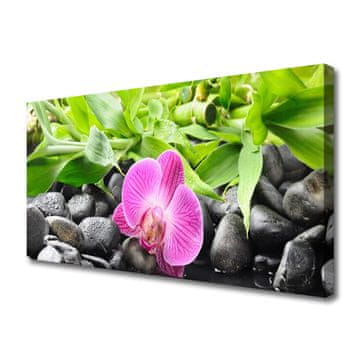 tulup.si Slika na platnu Orchid cvetje rastlin