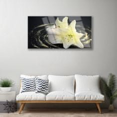 Slika na steklu Narava cvet rastlina 120x60 cm 2 obešalnika
