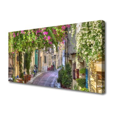 tulup.si Slika na platnu Hiše alley cvetovi rastlin