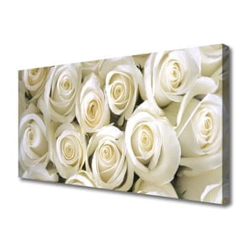 tulup.si Slika na platnu Roses flowers rastlin