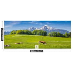 tulup.si Fototapeta Alpe krave 250x104 cm