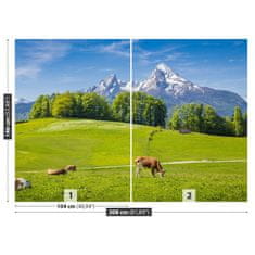 tulup.si Fototapeta Alpe krave Samolepilne 208x146 cm