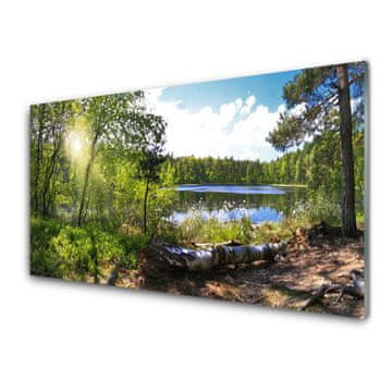 tulup.si Slika na steklu Lake forest trees narava 4 obešalnika