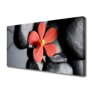 tulup.si Slika na platnu Flower stones art