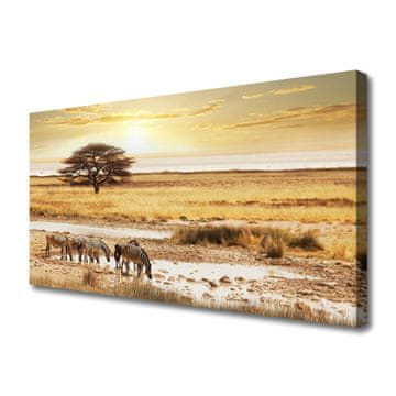 tulup.si Slika na platnu Zebra safari landscape