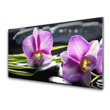 tulup.si Slika na akrilnem steklu Orchid zen spa stones 4 obešalnika