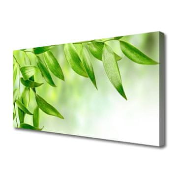 tulup.si Slika na platnu Green leaves narava