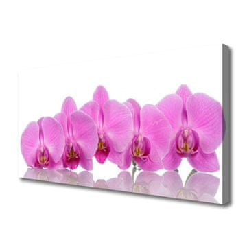tulup.si Slika na platnu Pink orchid cvetje