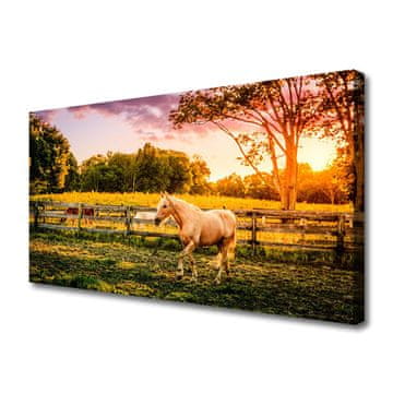 tulup.si Slika na platnu Horse meadow narava živali