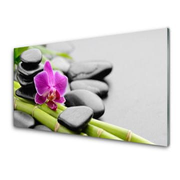 tulup.si Slika na akrilnem steklu Flower bamboo stones art 2 obešalnika