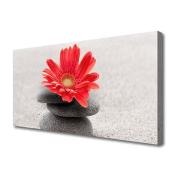 tulup.si Slika na platnu Gerbera cvet