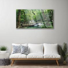tulup.si Slika na akrilnem steklu Gozd forest narava narava 100x50 cm 2 obešalnika