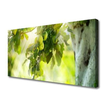 tulup.si Slika na platnu Apple tree branch narava