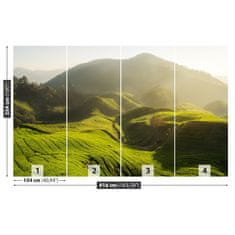 tulup.si Fototapeta Čaj nasada Tapeta 416x254 cm