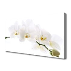 tulup.si Slika na platnu Orhideje 100x50 cm