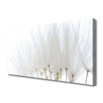 tulup.si Slika na platnu Rože na steni