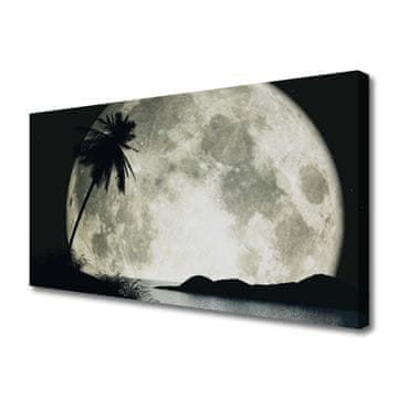 tulup.si Slika na platnu Nočni moon landscape palm