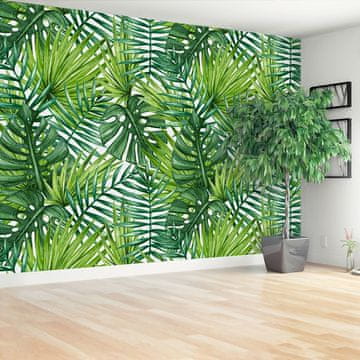 tulup.si Stenska fototapeta Palm listi Samolepilne