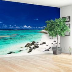 tulup.si Fototapeta Bela peščena plaža Tapeta 312x219 cm