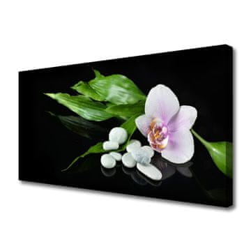 tulup.si Slika na platnu Flower stones listi