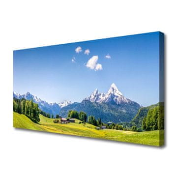 tulup.si Slika na platnu Polja drevesa mountain landscape