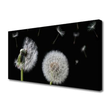 tulup.si Slika na platnu Dandelion