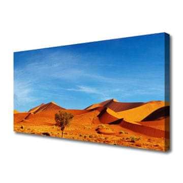 tulup.si Slika na platnu Pokrajina desert sand