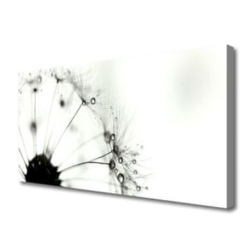 tulup.si Slika na platnu Dandelion rastlin