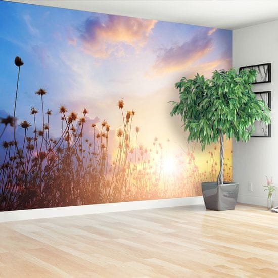 tulup.si Fototapeta Cvetje travnik Tapeta
