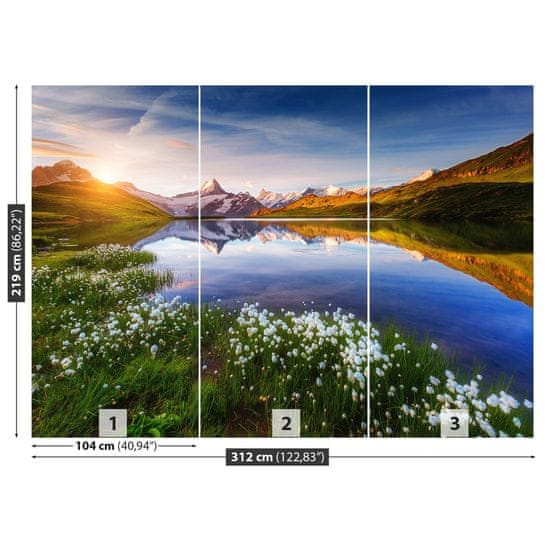 tulup.si Fototapeta Top schreckhorn