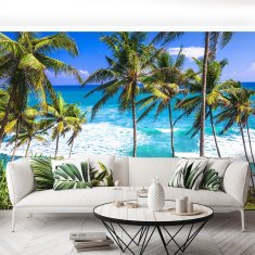 tulup.si Fototapeta Palm beach 104x70 cm