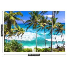tulup.si Fototapeta Palm beach 104x70 cm