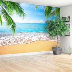 tulup.si Fototapeta Palm in plaža Samolepilne 312x219 cm