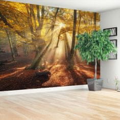 tulup.si Fototapeta Magic forest Samolepilne 104x70 cm
