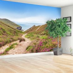 tulup.si Fototapeta Atlantic cornwall 104x70 cm