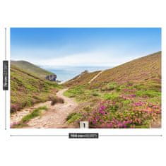 tulup.si Fototapeta Atlantic cornwall 104x70 cm