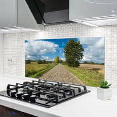 tulup.si Stenska plošča za kuhinjo Vas cestni pločnik landscape 120x60 cm