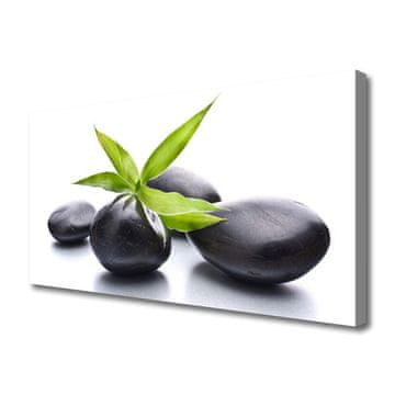 tulup.si Slika na platnu Stones art listi