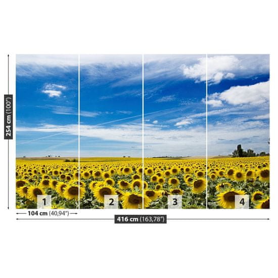 tulup.si Fototapeta Polje sončnic