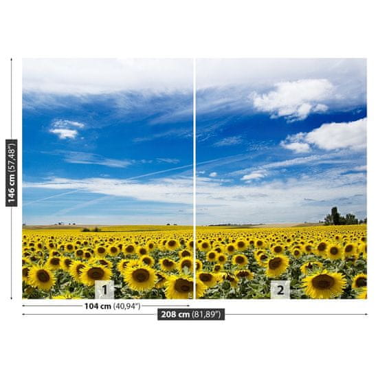 tulup.si Fototapeta Polje sončnic