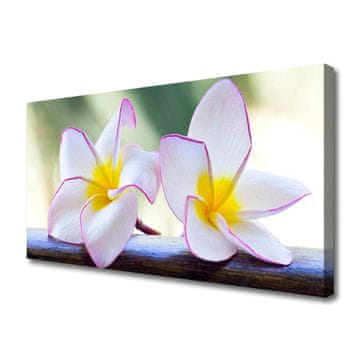 tulup.si Slika na platnu Plumeria cvetni listi
