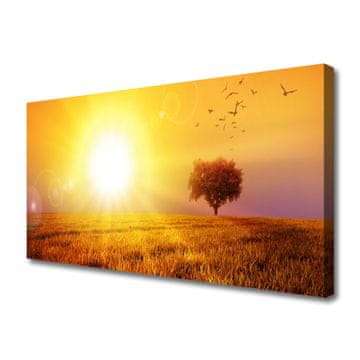 tulup.si Slika na platnu Sunset meadow ptice