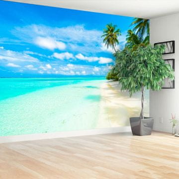 tulup.si Fototapeta Morski palms Samolepilne