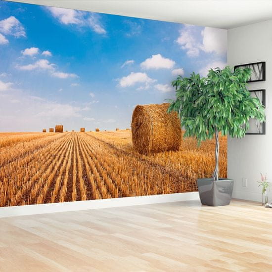 tulup.si Fototapeta Bal slame Samolepilne