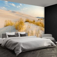 tulup.si Fototapeta Baltsko morje dunes Tapeta 208x146 cm