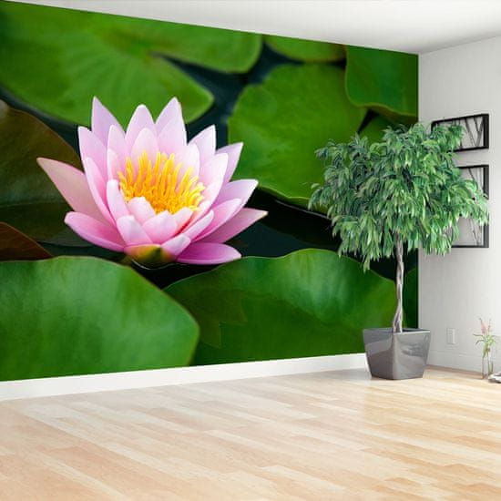 tulup.si Stenska fototapeta Lotus cvet Tapeta